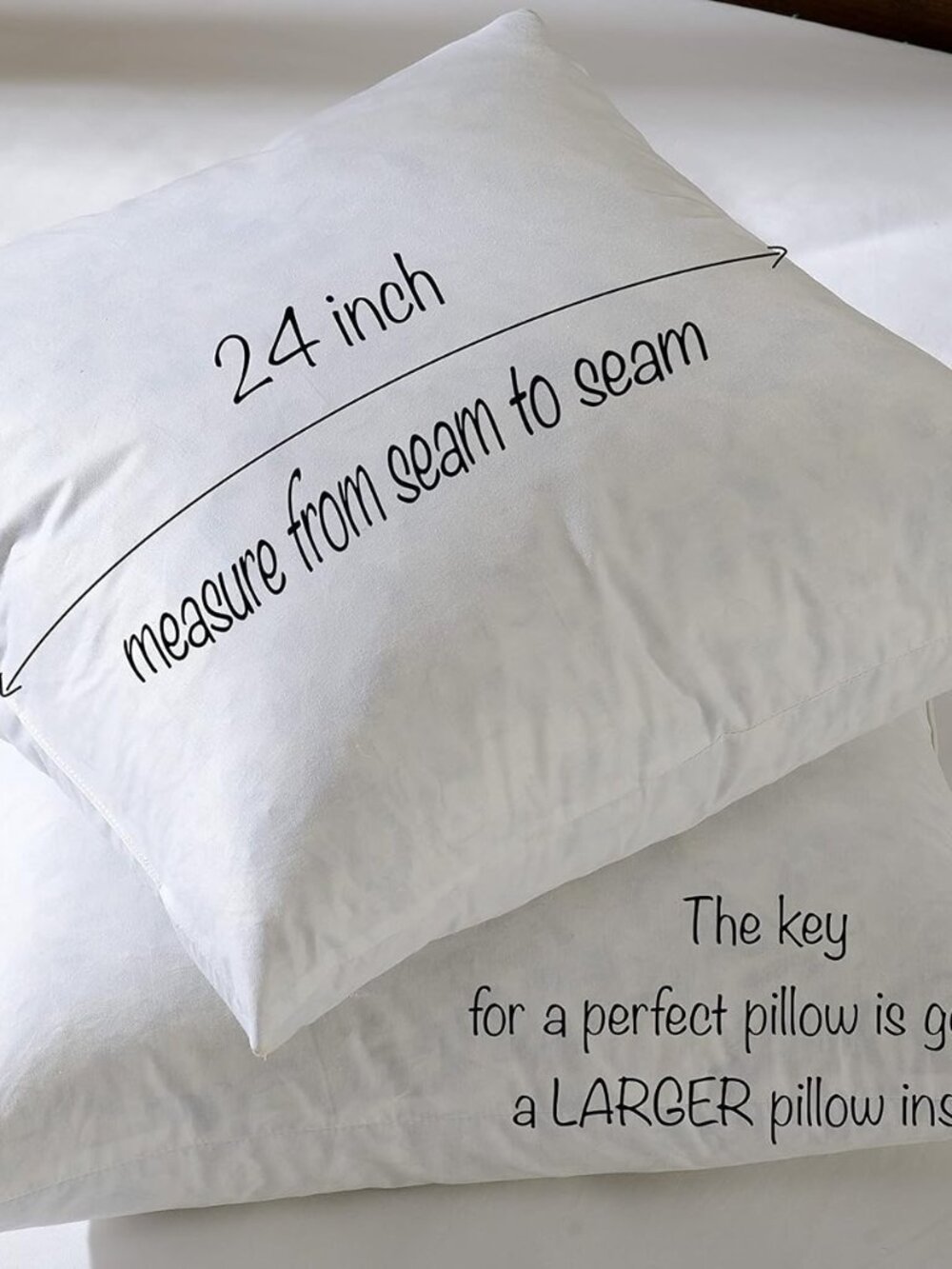 Pair 24x24 Goose Feather Down Euro Pillow Inserts